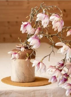 PASTILLE S - Onderlegger Van Wolvilt S | Bruin -Huishoudartikelen Winkel 3394332