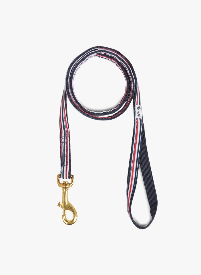 THE FRENCH BANBAN - Gestreepte Hondenleiband | Blauw 2 THE FRENCH BANBAN - Gestreepte Hondenleiband | Blauw - Afbeelding 2