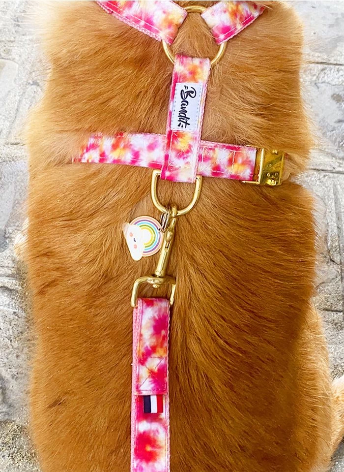 BANDIKINI - Hondenleiband Met Tie-dyeprint | Roze 3 BANDIKINI - Hondenleiband Met Tie-dyeprint | Roze - Afbeelding 3