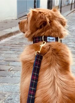 OH MY LORD - Hondenleiband Met Ruitjesmotief | Blauw -Huishoudartikelen Winkel 3441973