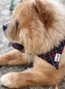 OH MY LORD - Hondenbandana Met Ruitjesmotief | Blauw -Huishoudartikelen Winkel 3442078