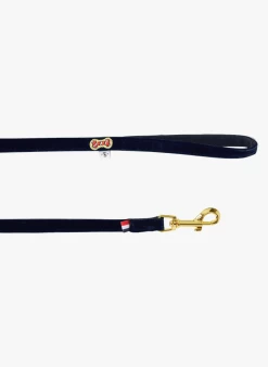 Fluwelen Hondenleiband | Blauw